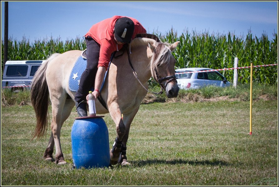 Mounted Games 143